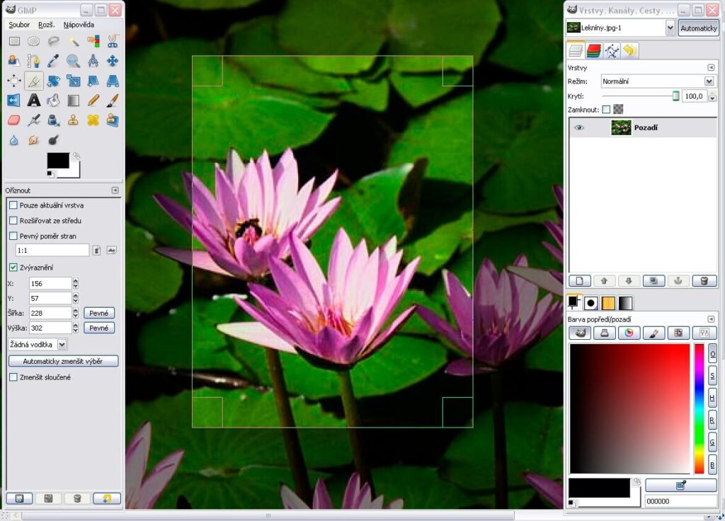 GIMP tool